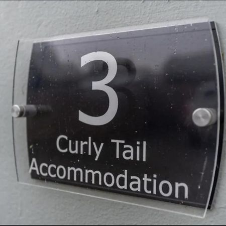 Curly Tail Accommodation Bishop's Castle Luaran gambar
