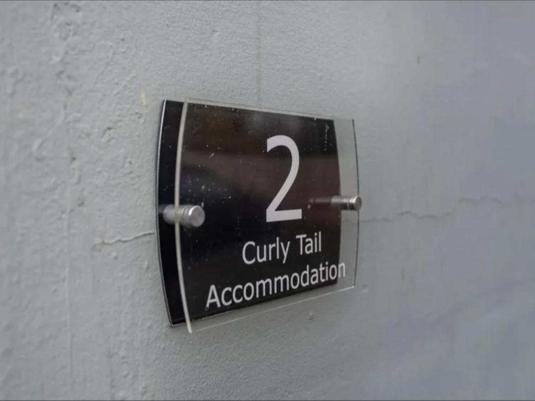 Curly Tail Accommodation Bishop's Castle Luaran gambar